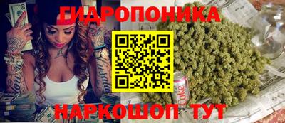 дмт Волгодонск