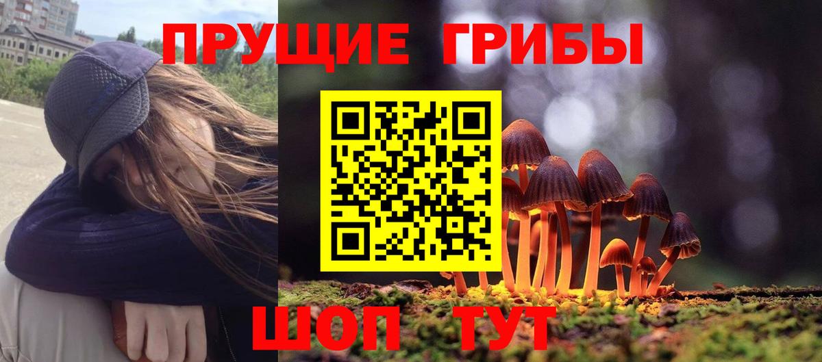 Галлюциногенные грибы Cubensis  Вход с VPN  Псилоцибиновые грибы MAGIC MUSHROOMS  как найти закладки  Заинск 
