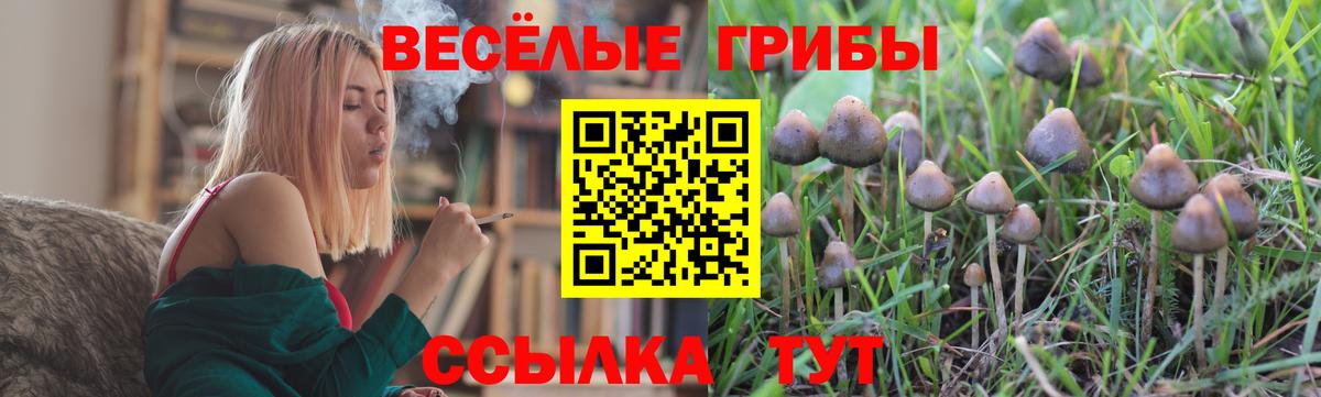 Псилоцибиновые грибы Magic Shrooms Заинск
